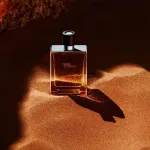 Terre d'Hermes eau de toilette per uomo 50 ml