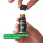 Incognito Olio essenziale di citronella BIO (10 ml) - non puzza per gli insetti più difficili