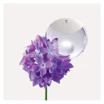 A Drop d'Issey eau de parfum 50 ml per donne