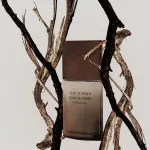 L'Eau d'Issey Pour Homme Wood&Wood eau de parfum per uomo 100 ml