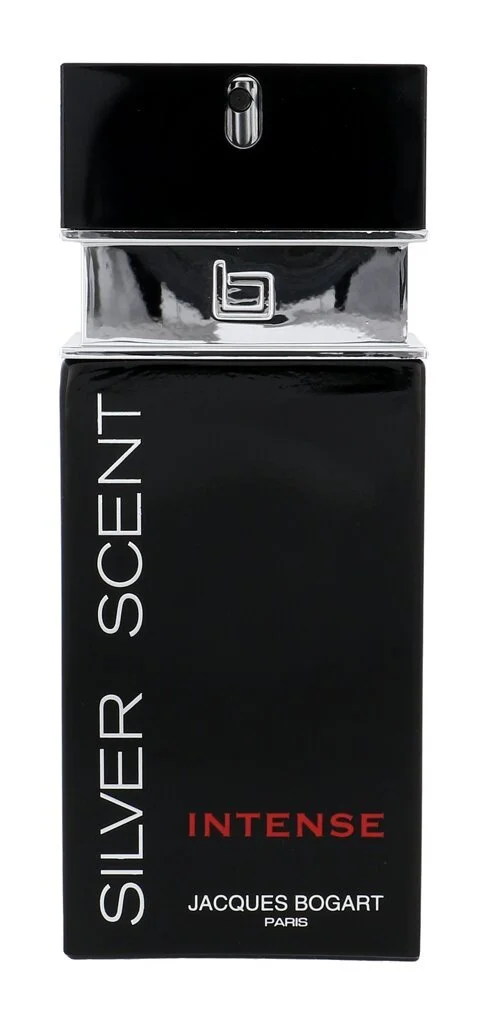 Silver Scent Intense Eau de Toilette da uomo 100 ml