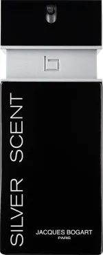 Silver Scent eau de toilette per uomo 100 ml