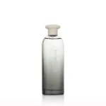 Power Eau de Toilette da uomo 75 ml