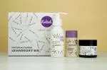 Kvitok Pacchetto regalo Lavender Dream - doccia, deodorante e crema corpo