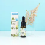 Kvitok Skin Serum - Plant Collagen (10 ml) - leviga e migliora l'elasticità