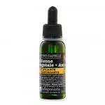 laSaponaria Amla Silicone Vegetale - Olio per capelli secchi (30 ml) - doma i capelli volanti