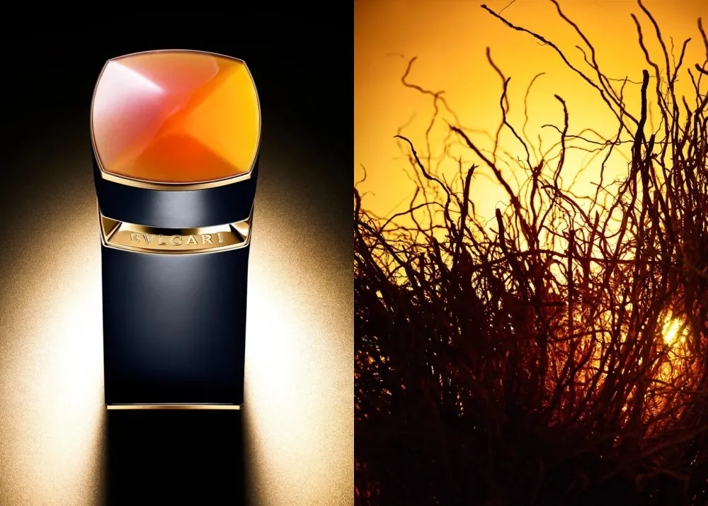 Le Gemme Ambero Eau de Parfum da uomo 100 ml