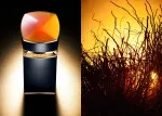 Le Gemme Ambero Eau de Parfum da uomo 100 ml