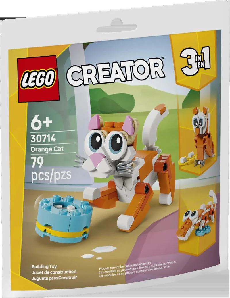 30714 Gatto arancione