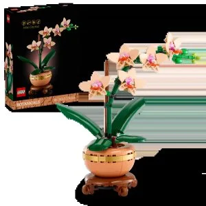 LEGO® Botanicals 10343 Orchidea in miniatura
