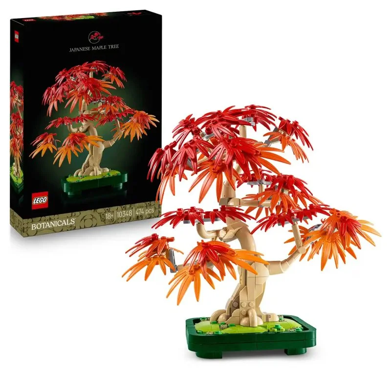 Botanicals 10348 Bonsai – Acero giapponese rosso