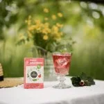 LEROS Miscela di erbe Bucco Cold Brew - bustine filtro (20 x 1,5 g) - per preparare tè freddo