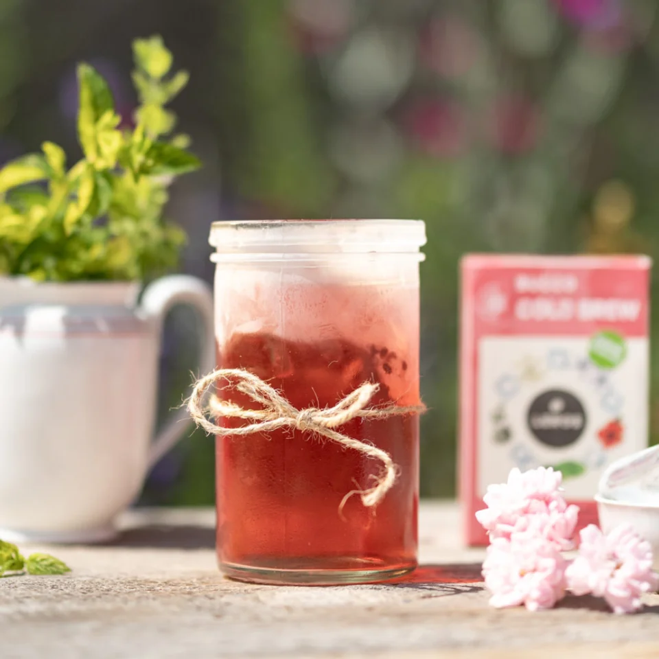 LEROS Miscela di erbe Bucco Cold Brew - bustine filtro (20 x 1,5 g) - per preparare tè freddo