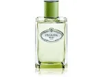 Les Infusions de Vetiver eau de parfum unisex 100 ml