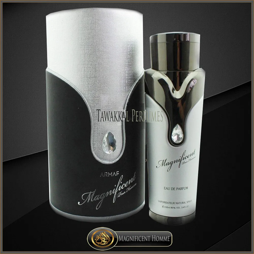 Magnificent Pour Homme Eau de Parfum da uomo 100 ml