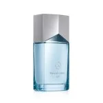 Air Eau de Parfum ricaricabile da uomo 100 ml