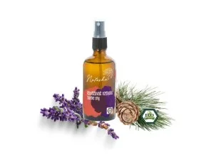 Natasha Profumatore per ambienti - Dolci sogni (100 ml) - calma e prepara al sonno