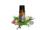 Natasha Miscela di oli essenziali (10 ml) - Respiro libero - energizzante fresco di primavera
