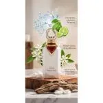 Noble Cedar estratto di profumo unisex 100 ml