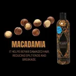 Shampoo con estratto di olio 400 ml