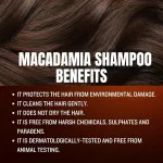 Shampoo con estratto di olio 400 ml