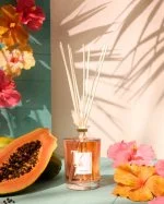 Ibisco Bastoncini Ml.250 Fragranza per la Casa-Tfu