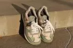 Inkkas Prickly Jogger