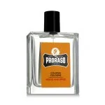 Wood and Spice Acqua di Colonia da uomo 100 ml
