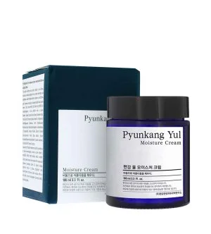 Pyunkang Yul Moisture Cream crema idratante per il viso