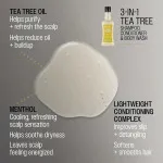 3 in 1 Tea Tree Shampoo-Balsamo-Bagnodoccia per uomo 350 ml