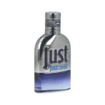 Just Cavalli Him 2013 Eau de Toilette da uomo 30 ml