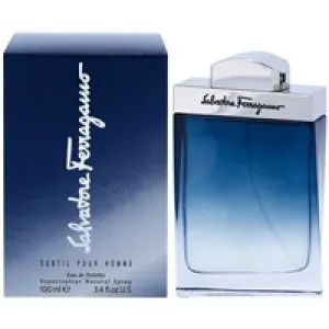 Salvatore Ferragamo Subtil Pour Homme eau de toilette per uomo 100 ml
