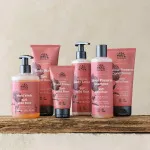 Urtekram Shampoo alla rosa selvatica 500ml BIO
