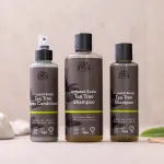 Urtekram Shampoo all'albero del tè 250ml BIO