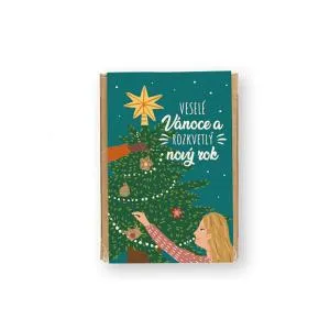 Blossombs Bombe di semi - Mini set regalo - Magico Natale (4 pezzi)