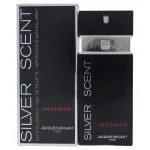 Silver Scent Intense Eau de Toilette da uomo 100 ml