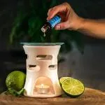 Tierra Verde Dolce brezza - miscela di oli essenziali BIO (flacone di vetro da 10 ml)