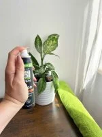 SO’BiO étic Deodorante naturale ECO SPRAY 24h MEN - cedro BIO (100 ml) - efficace fino a 24 ore