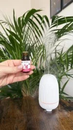 Taoasis Baldini Set aromatico All the Love BIO (5 ml) - fragranza armonizzante con diffusore in pietra