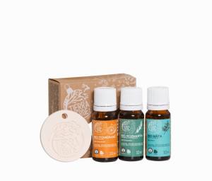 Set invernale di oli essenziali BIO con vaporizzatore (vaporizzatore 3 pezzi)