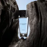 Touch for Men eau de toilette da uomo 100 ml