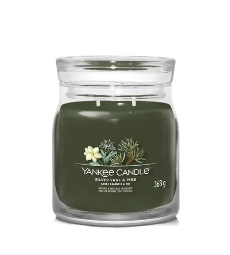 Silver Sage & Pine candela signature media 368 g