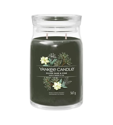 Silver Sage & Pine candela signature grande 567 g