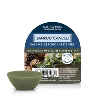 Yankee Candle Silver Sage & Pine cera profumata 22 g