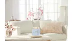 Candela Yankee Candle Clean Cotton firma signature media 368 g