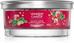 Holiday Cheer signature tumbler 5 stoppini 340 g
