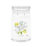 Midnight Jasmine candela grande signature 567 g