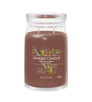 Yankee Candle Praline & Birch signature candela grande 567 g