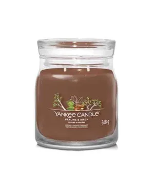 Yankee Candle Praline & Birch candela signature media 368 g