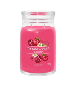 Yankee Candle Red Raspberry candela firma grande 567 g